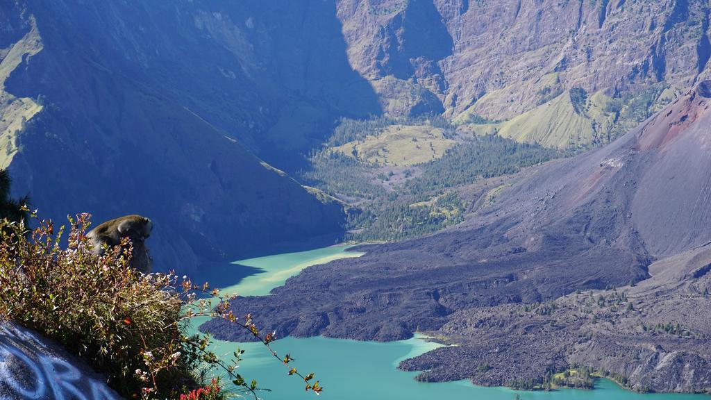 Rinjani Trails Hotel 세나루 외부 사진