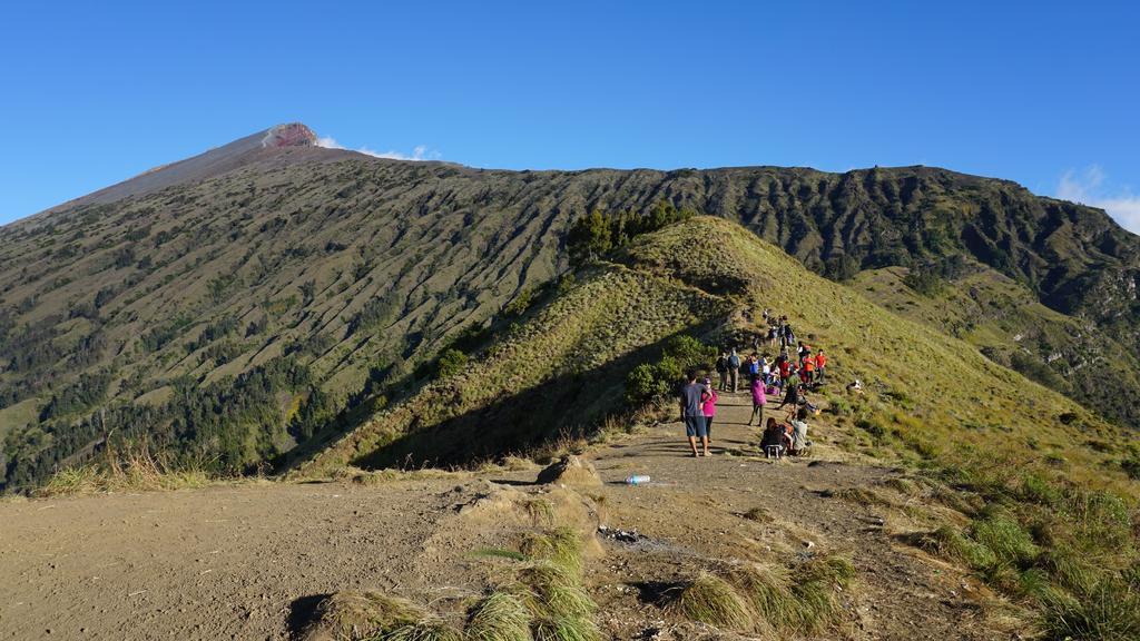 Rinjani Trails Hotel 세나루 외부 사진