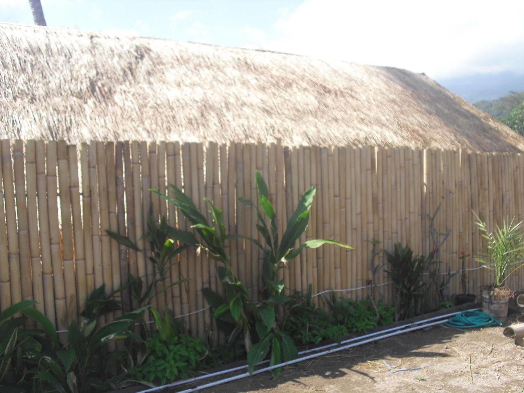 Rinjani Trails Hotel 세나루 외부 사진